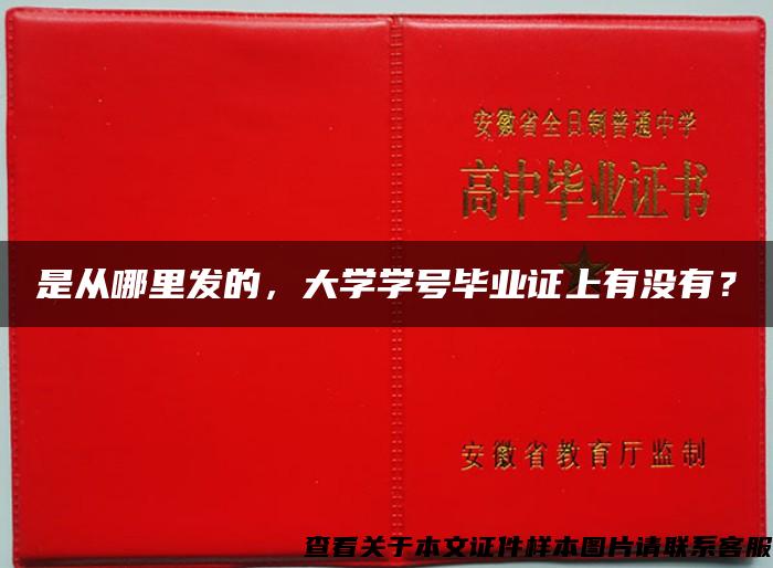 是从哪里发的，大学学号毕业证上有没有？