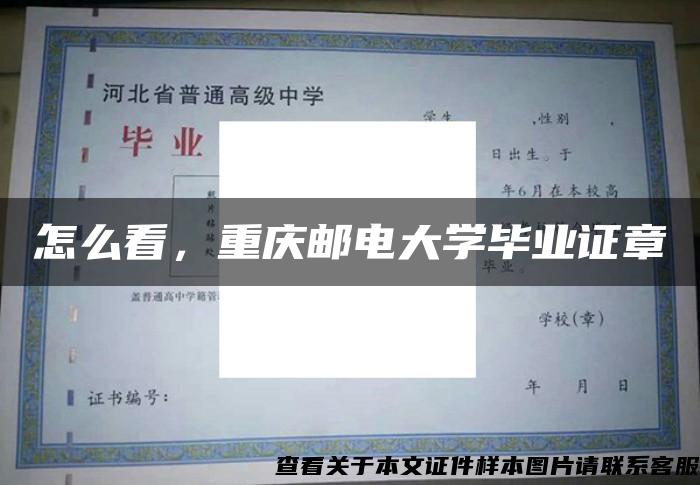 怎么看，重庆邮电大学毕业证章