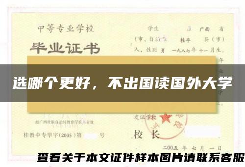 选哪个更好，不出国读国外大学