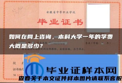 如何在网上咨询，本科大学一年的学费大概是多少？