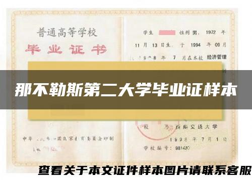 那不勒斯第二大学毕业证样本