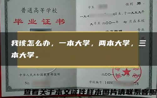 我该怎么办，一本大学，两本大学，三本大学。