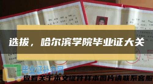 选拔，哈尔滨学院毕业证大关