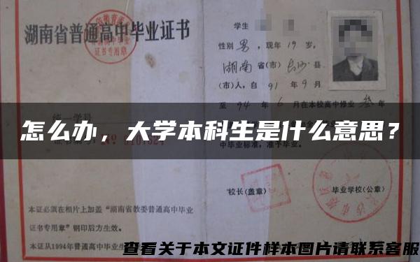 怎么办，大学本科生是什么意思？