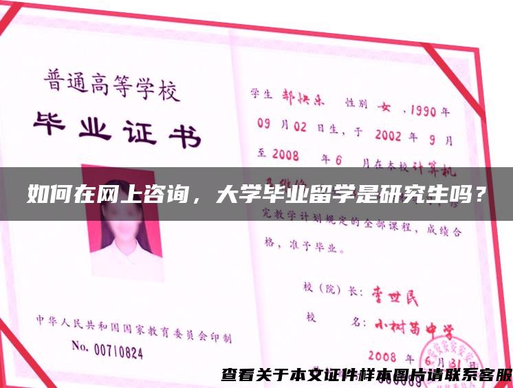 如何在网上咨询，大学毕业留学是研究生吗？