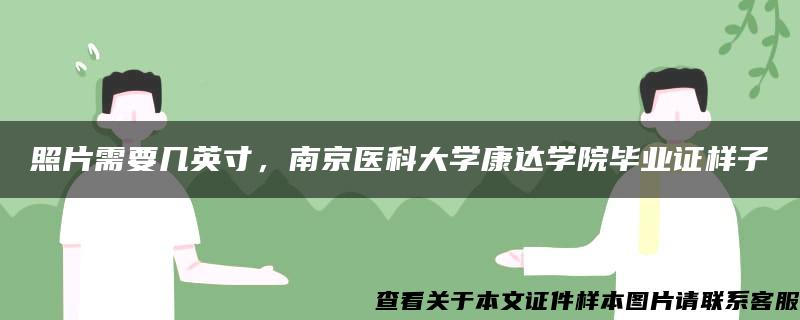 照片需要几英寸，南京医科大学康达学院毕业证样子