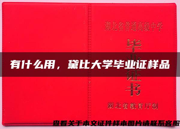 有什么用，黛比大学毕业证样品