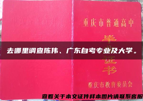 去哪里调查陈伟、广东自考专业及大学。