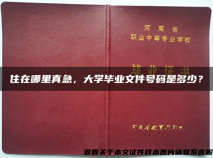 住在哪里真急，大学毕业文件号码是多少？