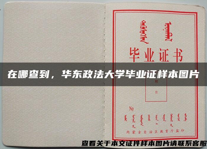 在哪查到，华东政法大学毕业证样本图片