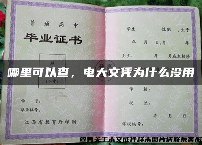 哪里可以查，电大文凭为什么没用