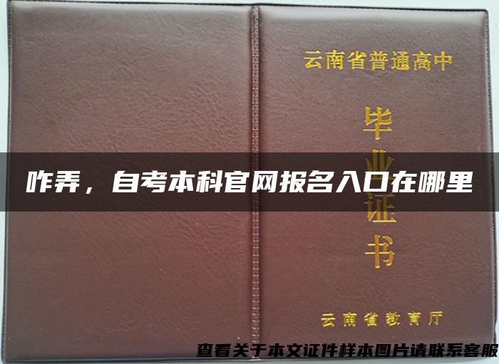 咋弄，自考本科官网报名入口在哪里