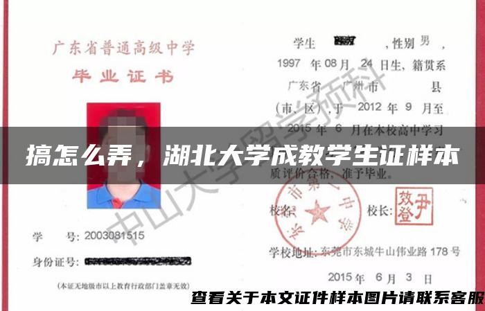 搞怎么弄，湖北大学成教学生证样本