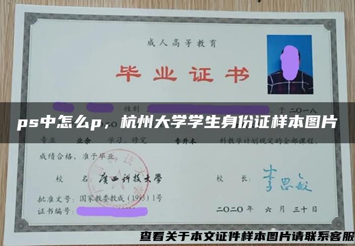 ps中怎么p，杭州大学学生身份证样本图片