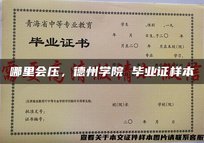 哪里会压，德州学院 毕业证样本