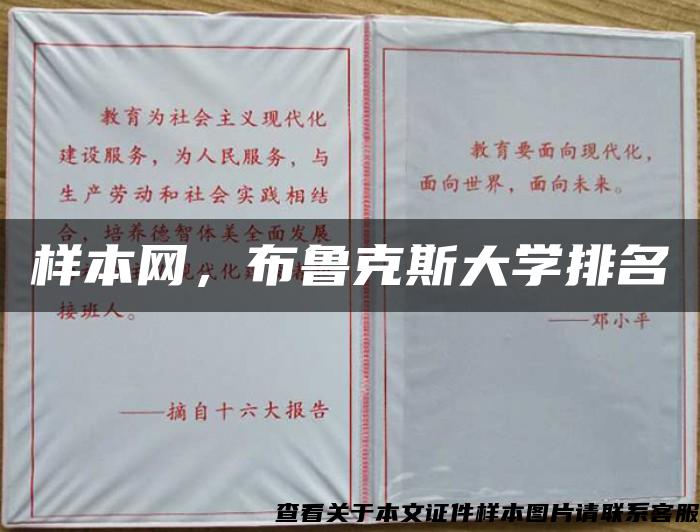 样本网，布鲁克斯大学排名