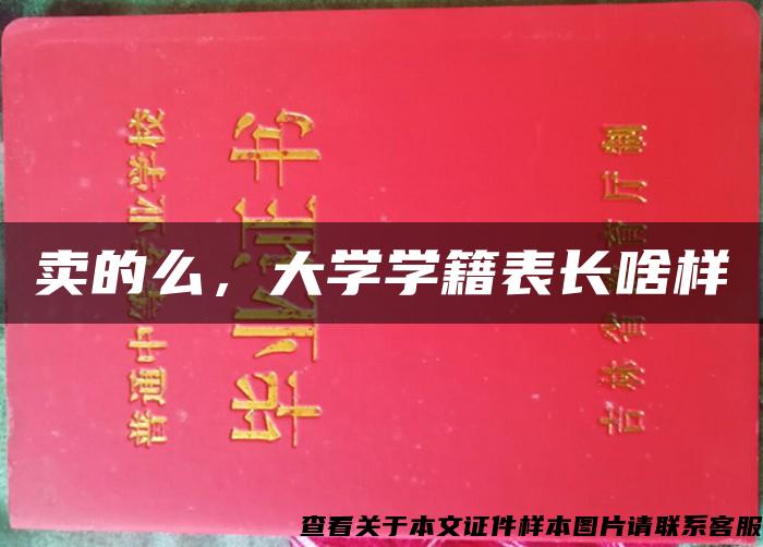 卖的么，大学学籍表长啥样