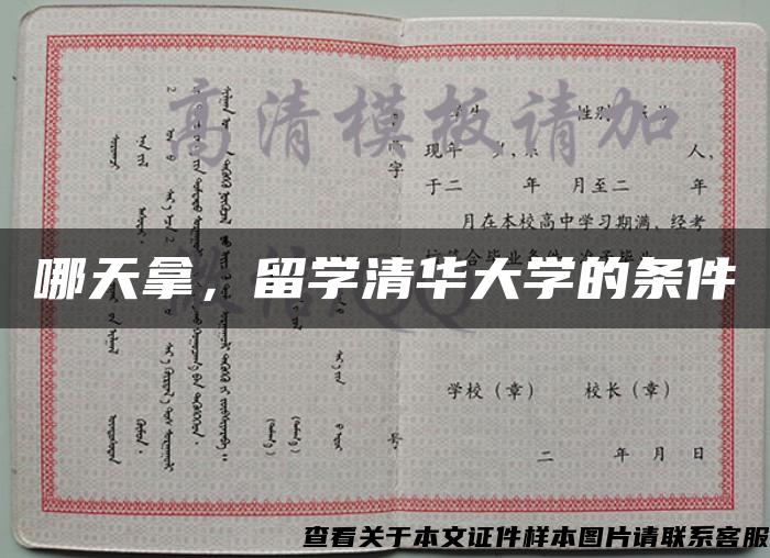 哪天拿，留学清华大学的条件