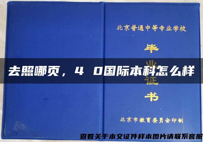 去照哪页，4 0国际本科怎么样