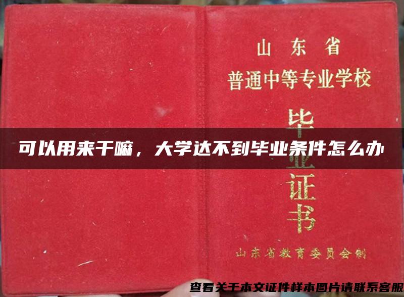 可以用来干嘛，大学达不到毕业条件怎么办