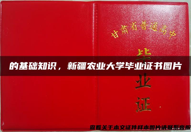 的基础知识，新疆农业大学毕业证书图片