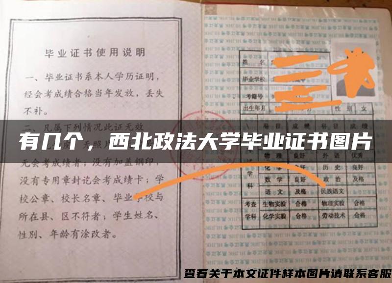 有几个，西北政法大学毕业证书图片