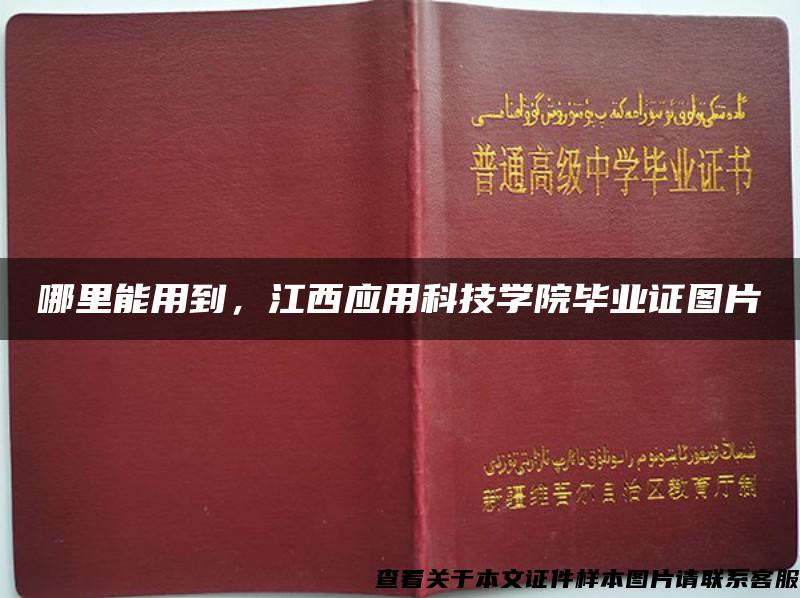 哪里能用到，江西应用科技学院毕业证图片