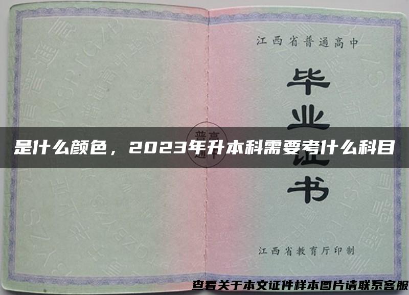 是什么颜色，2023年升本科需要考什么科目