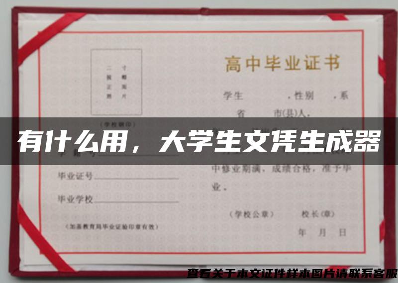 有什么用，大学生文凭生成器