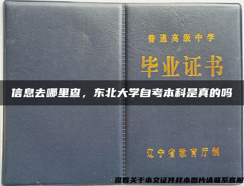 信息去哪里查，东北大学自考本科是真的吗