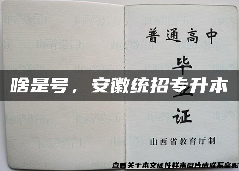 啥是号，安徽统招专升本