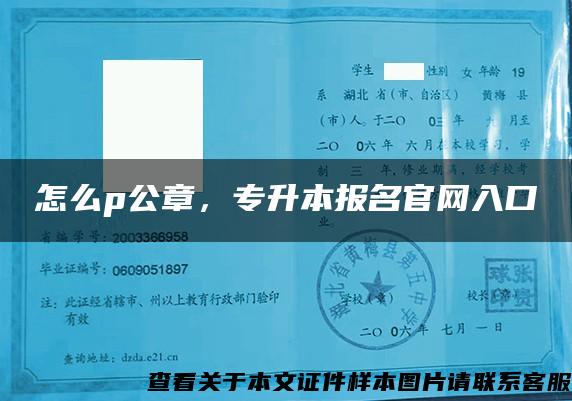 怎么p公章，专升本报名官网入口