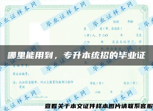 哪里能用到，专升本统招的毕业证