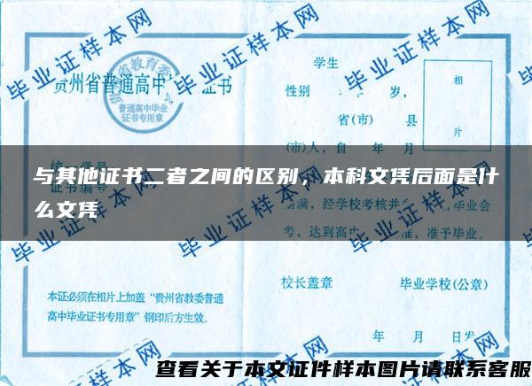 与其他证书二者之间的区别，本科文凭后面是什么文凭