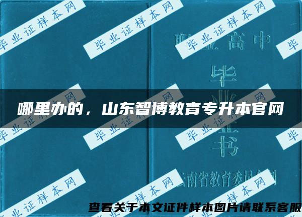 哪里办的，山东智博教育专升本官网