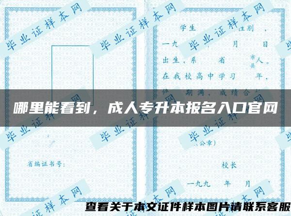 哪里能看到，成人专升本报名入口官网