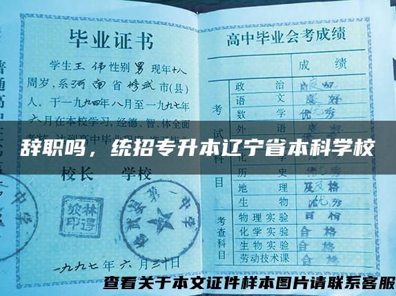 辞职吗，统招专升本辽宁省本科学校