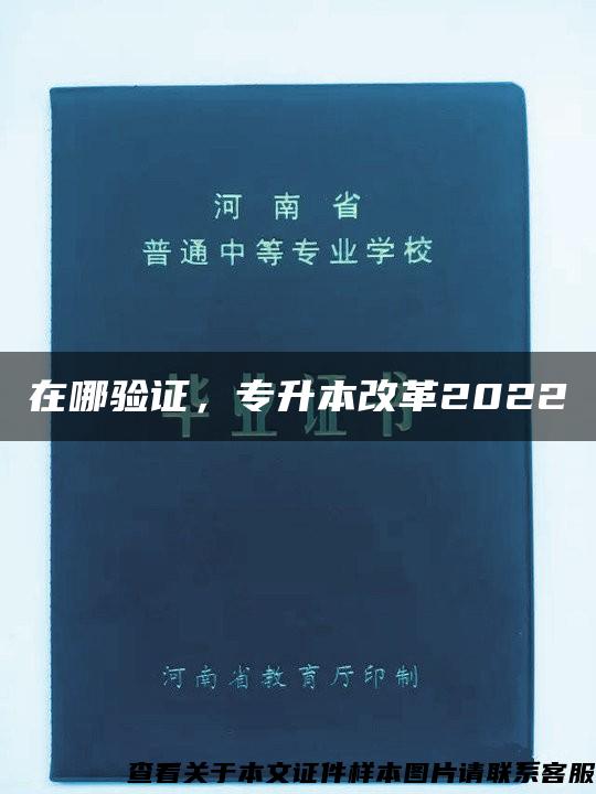 在哪验证，专升本改革2022