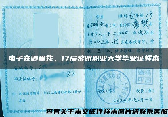 电子在哪里找，17届黎明职业大学毕业证样本