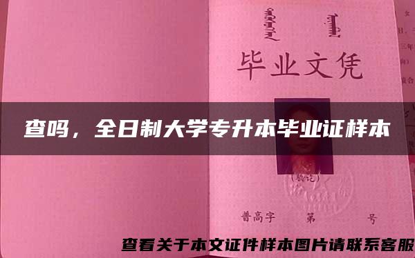 查吗，全日制大学专升本毕业证样本