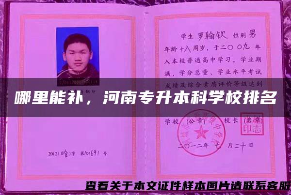 哪里能补，河南专升本科学校排名