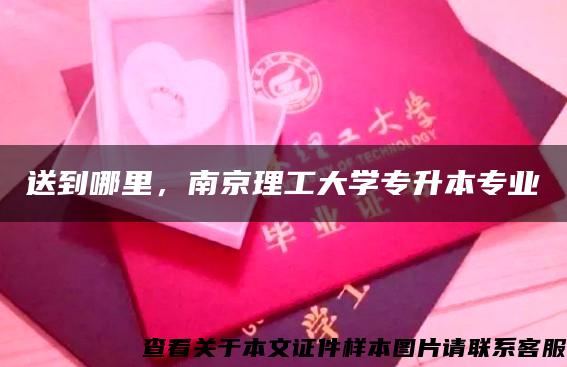 送到哪里，南京理工大学专升本专业