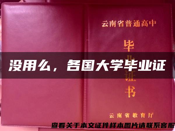 没用么，各国大学毕业证