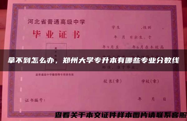 拿不到怎么办，郑州大学专升本有哪些专业分数线