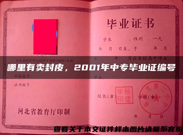 哪里有卖封皮，2001年中专毕业证编号