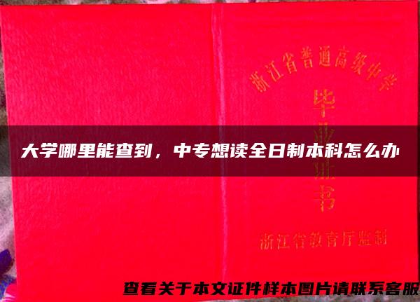 大学哪里能查到，中专想读全日制本科怎么办