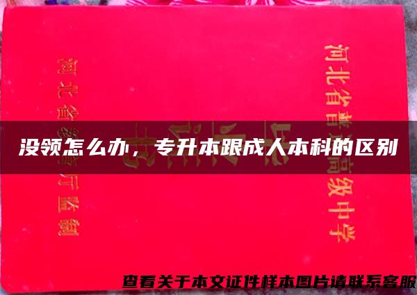 没领怎么办，专升本跟成人本科的区别