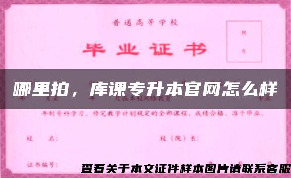 哪里拍，库课专升本官网怎么样