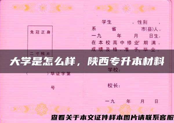 大学是怎么样，陕西专升本材料