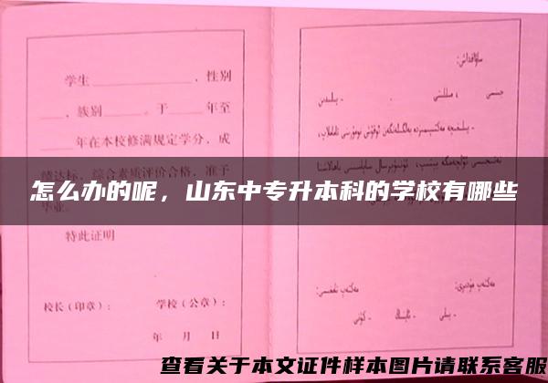 怎么办的呢，山东中专升本科的学校有哪些